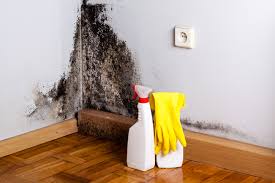 Best Residential Mold Inspection & Testing  in New Albany, MS